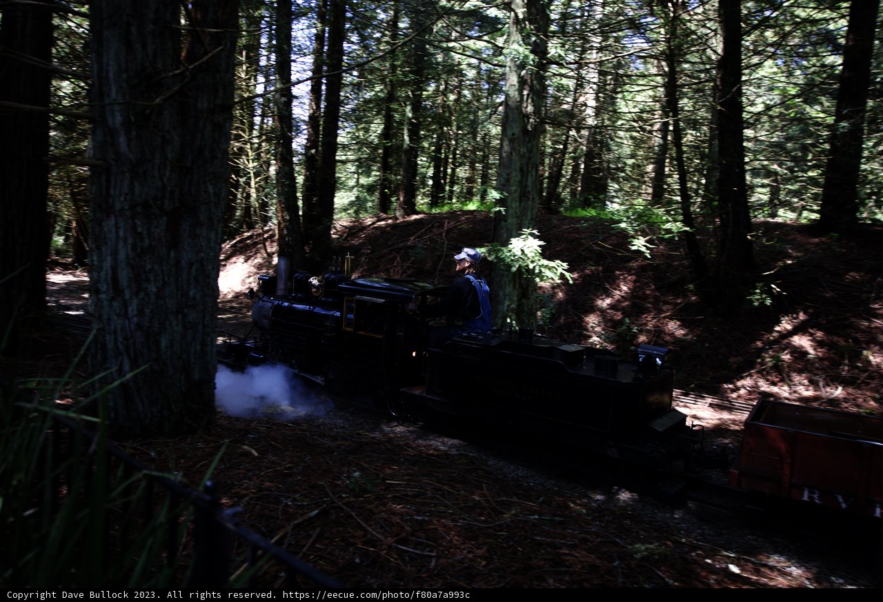 A Scenic Ride Through Tilden Park