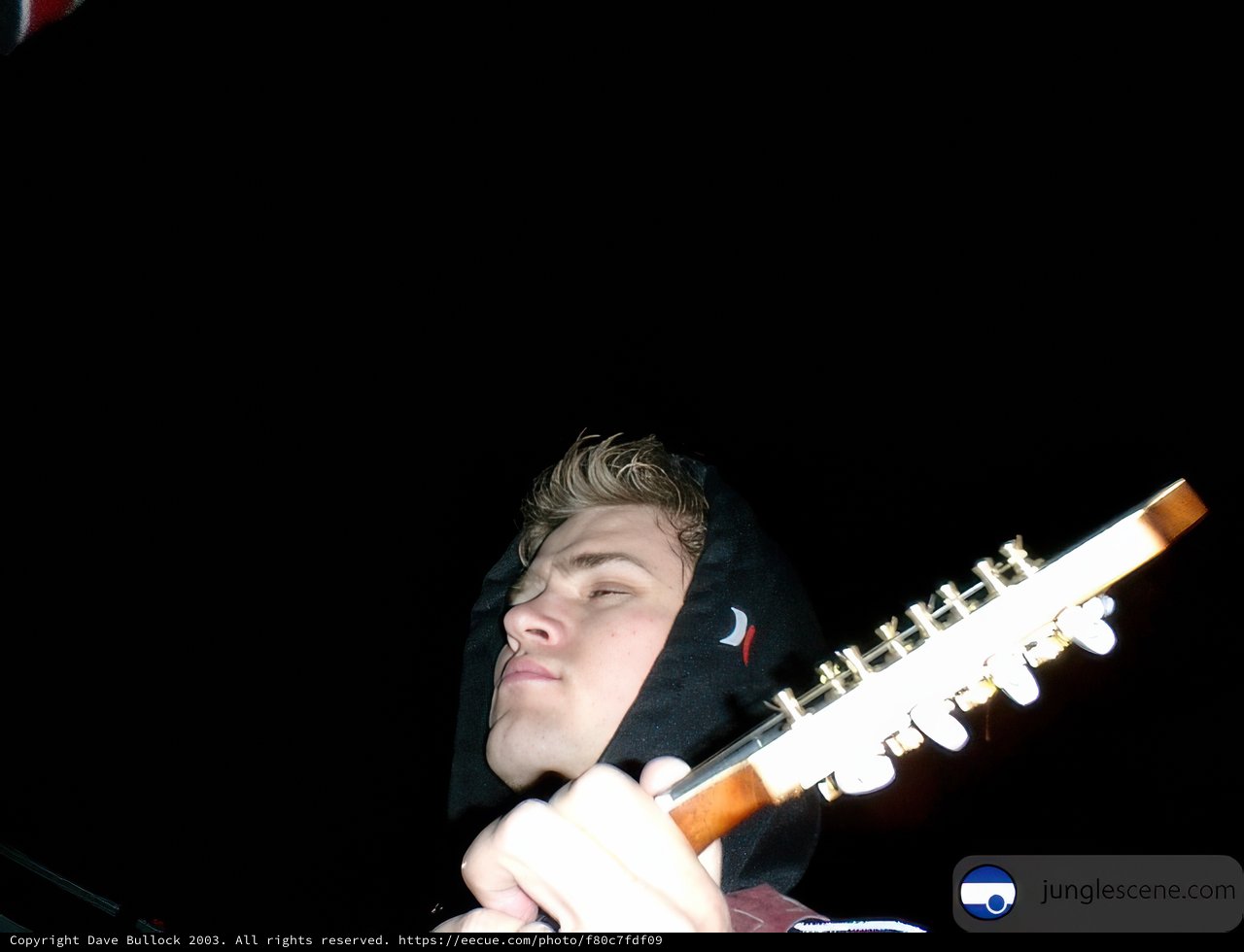 Night Serenade