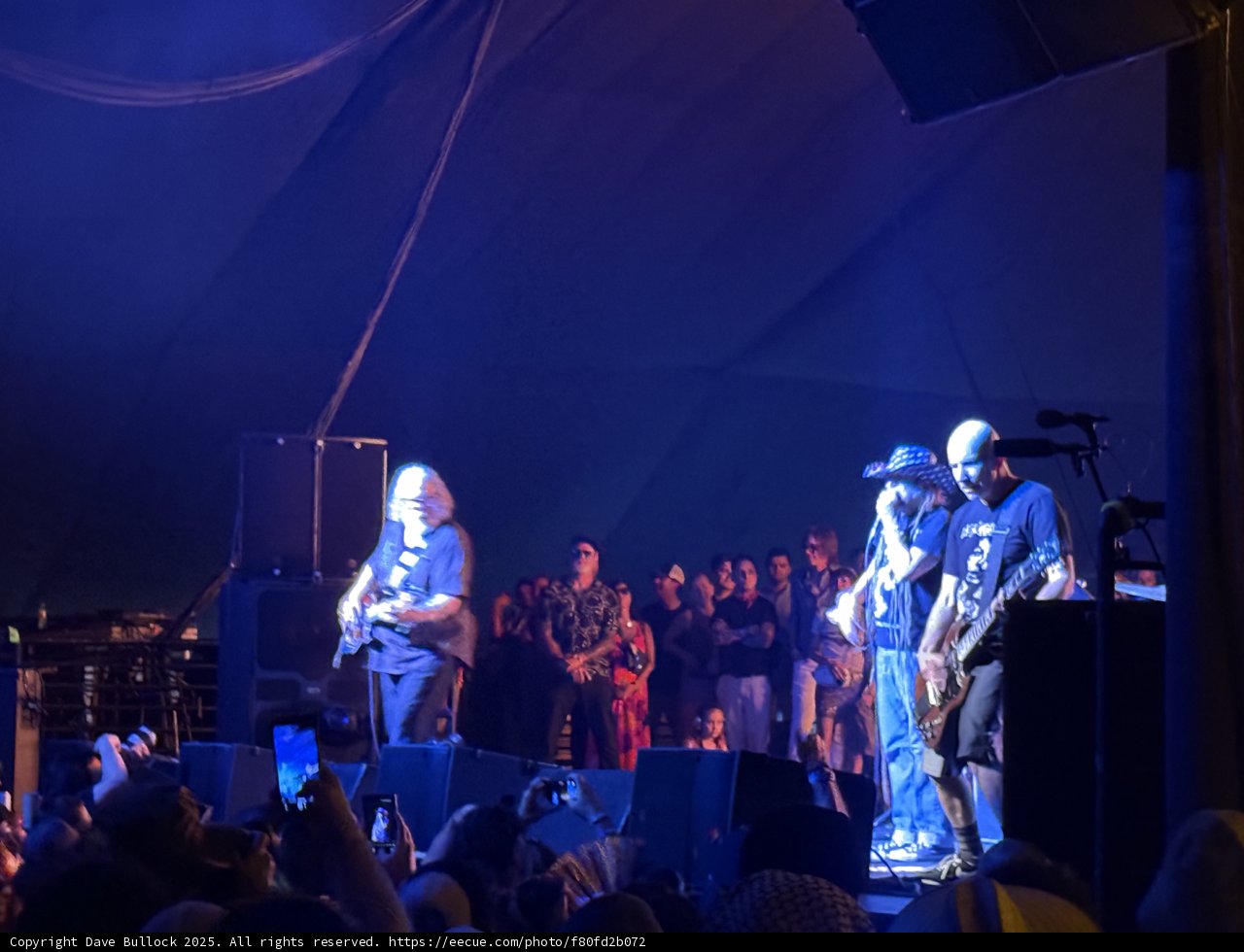 Electric Vibes Under the Tent