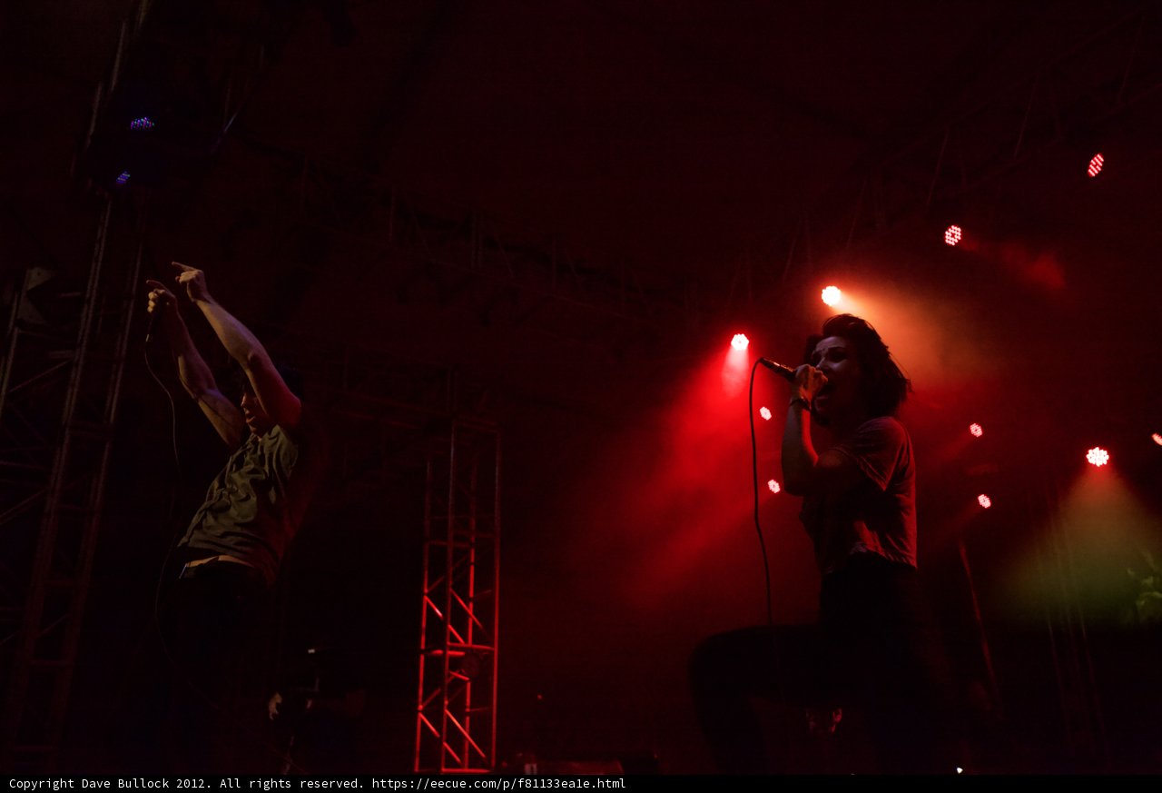 Rocking the Stage at Coachella