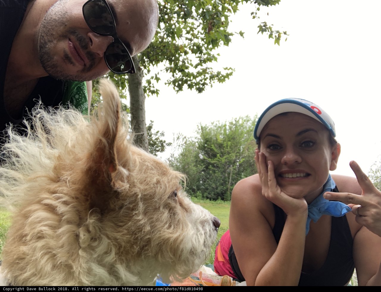 A Day at the Park