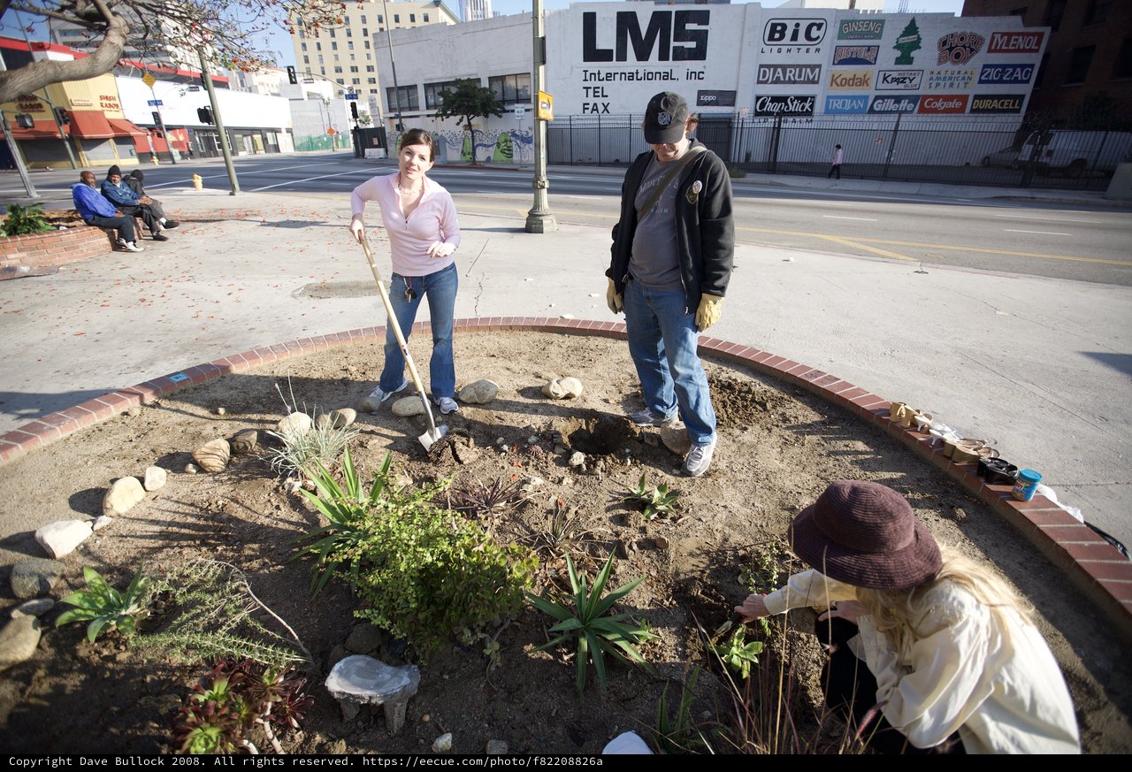 Community Volunteers Revitalize Urban Street Corner Garden