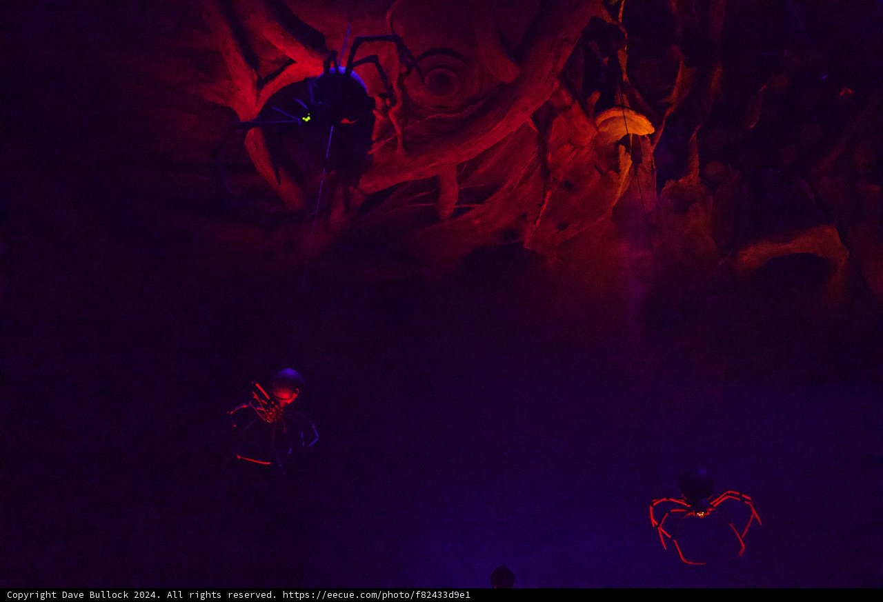 A Magical Night Under the Sea at Disneyland