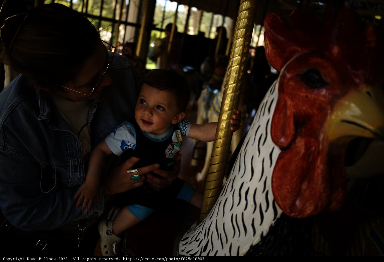 Golden Gate Carousel - A Mother's Joy