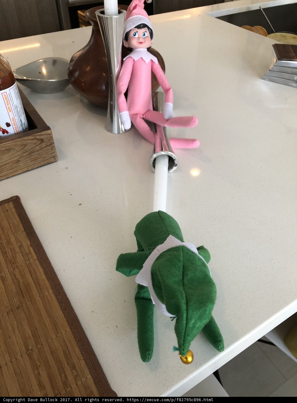 Elf on a Shelf and Frog Playtime