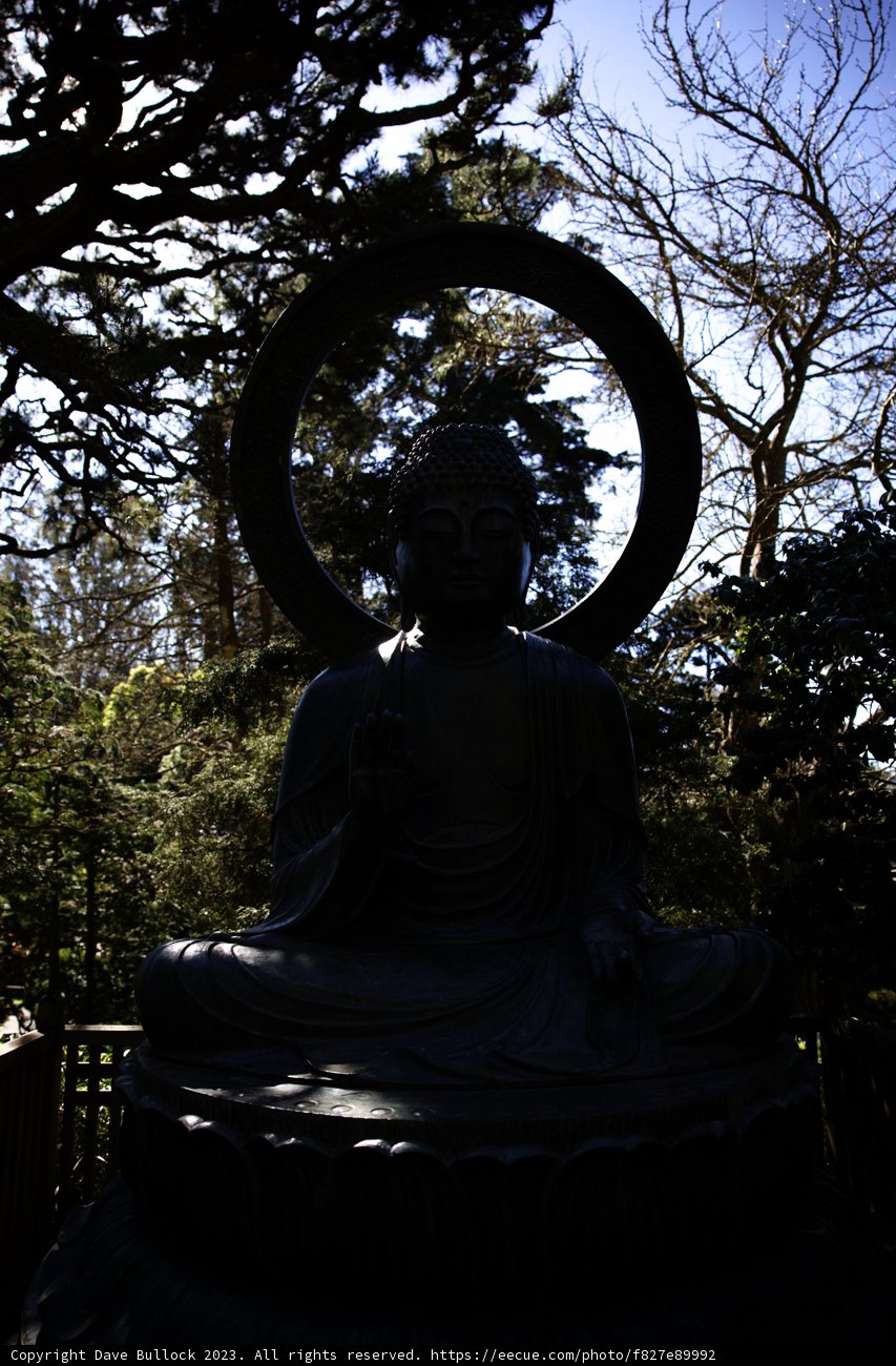 Serenity in the Japanese Tea Garden