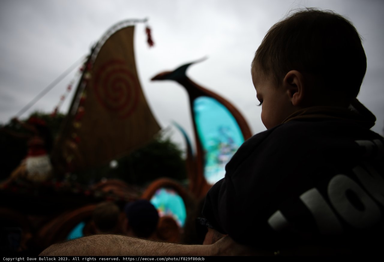 Magical Moments at Disneyland