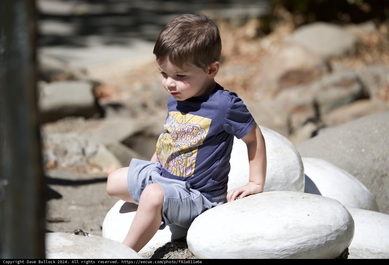 Contemplative Moments in Walnut Creek