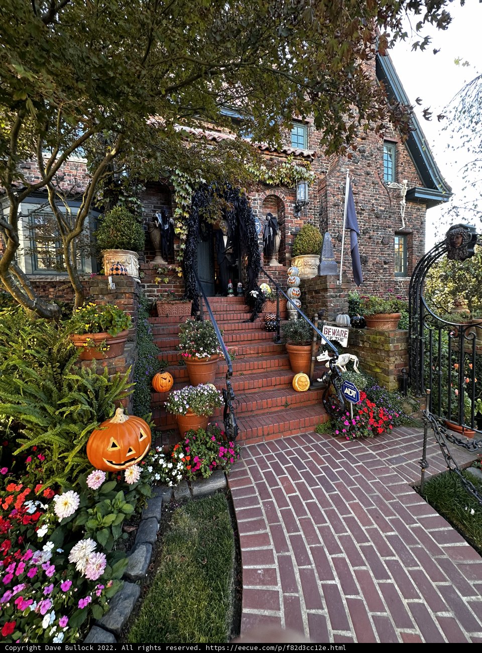 Halloween Delight in San Francisco