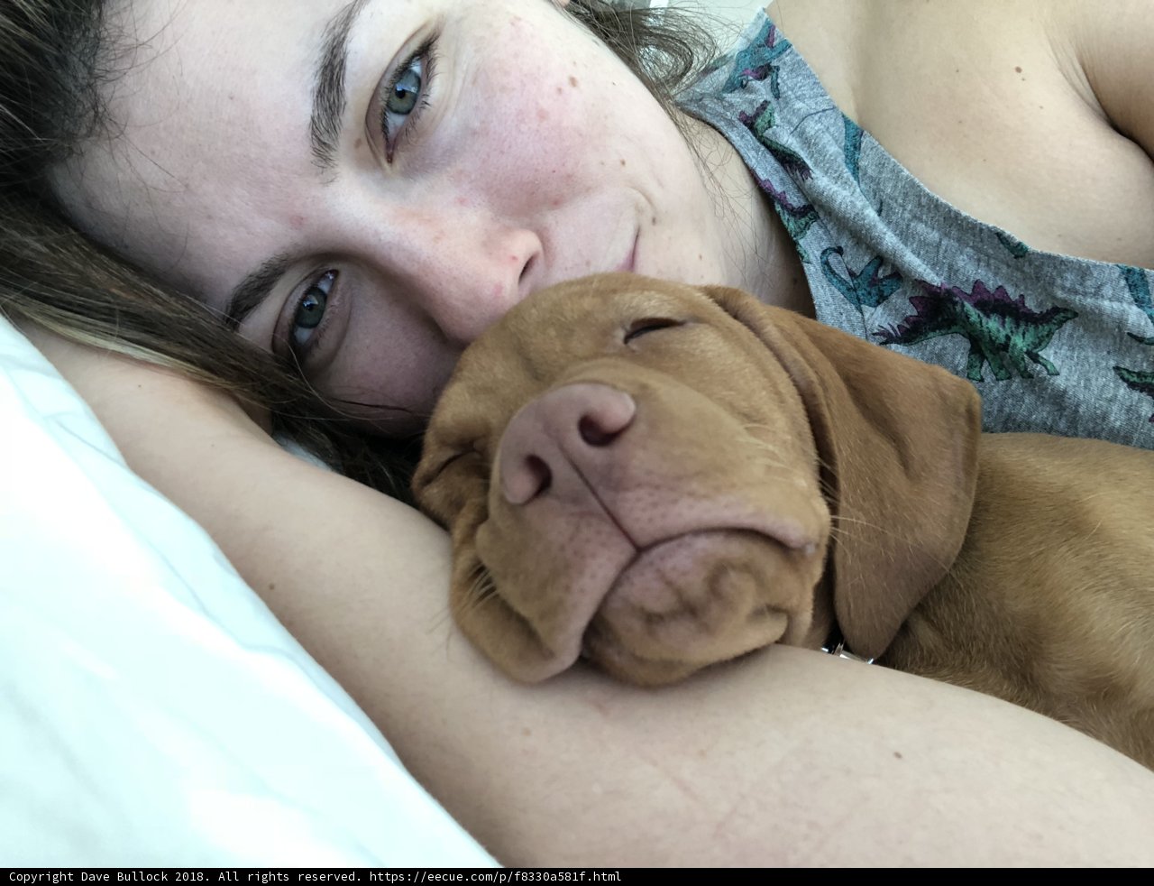 Beauty Sleep with Furry Friends