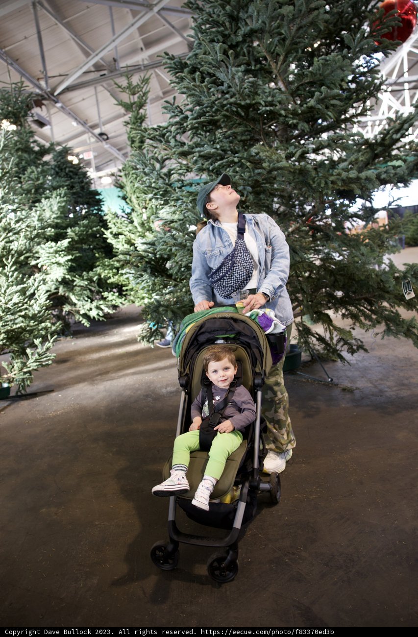 A Festive Stroll with Family