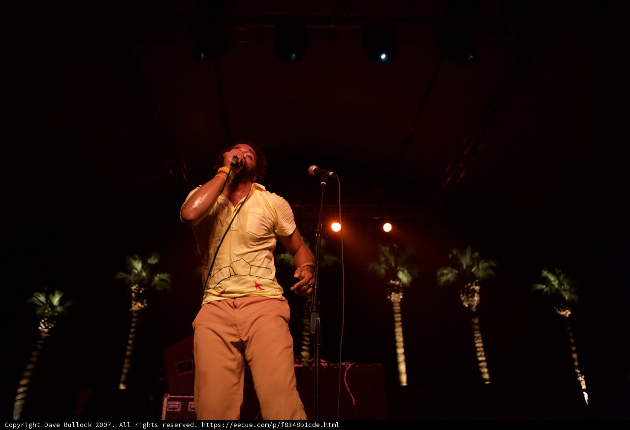 Spotlight on Solo Performer