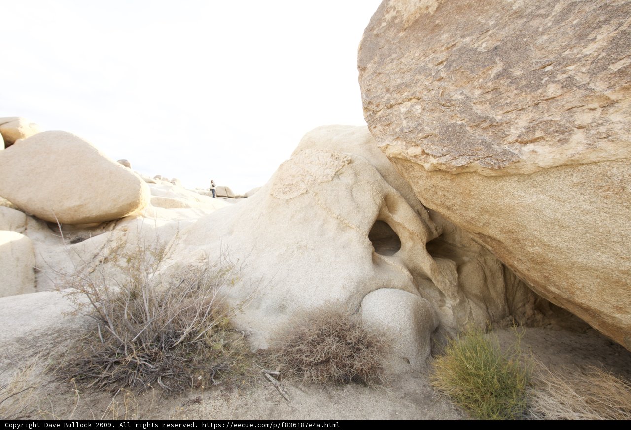 Solitude Amongst the Rocks