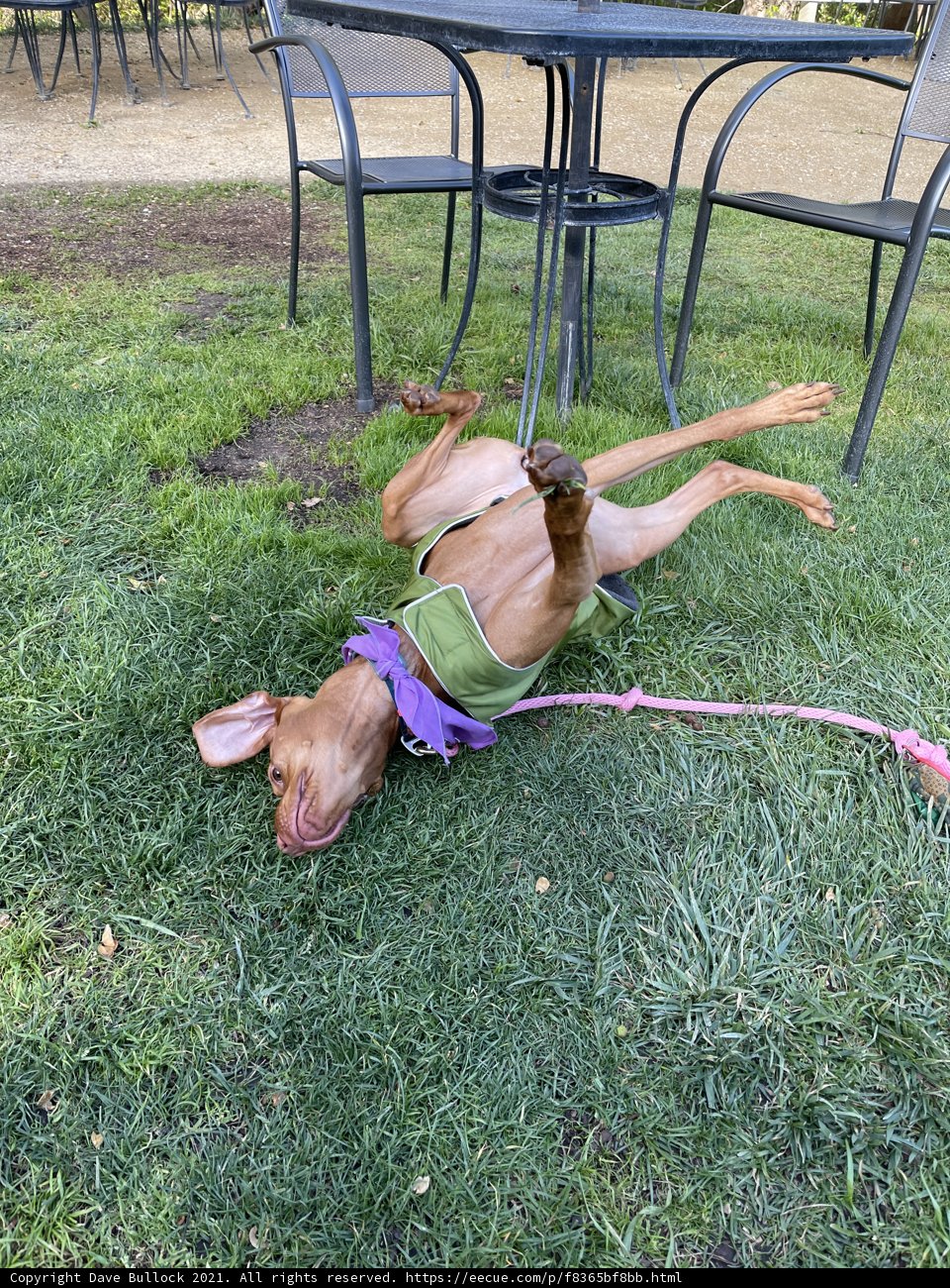 Relaxing in the Summer Sun