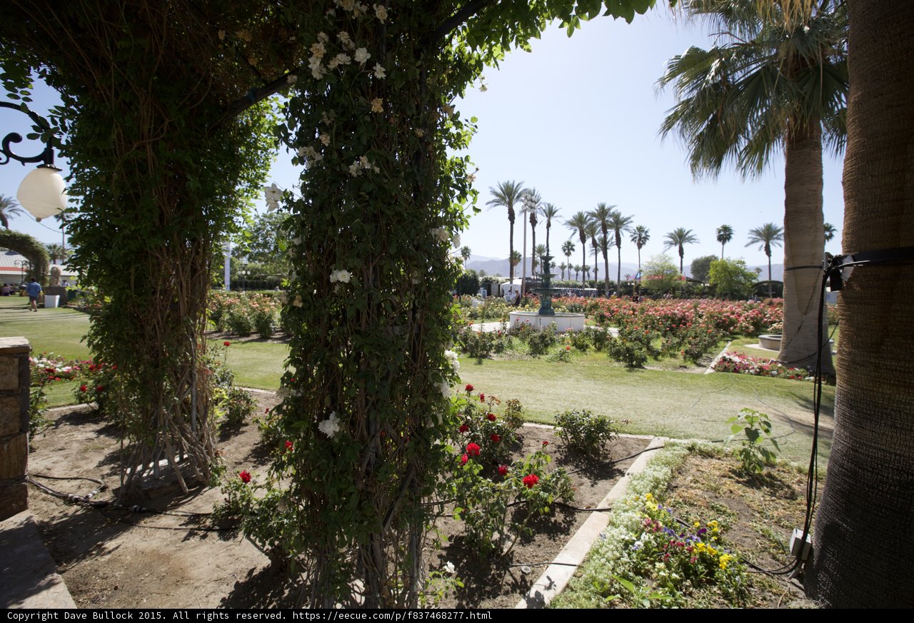A Serene View of a Lush Garden