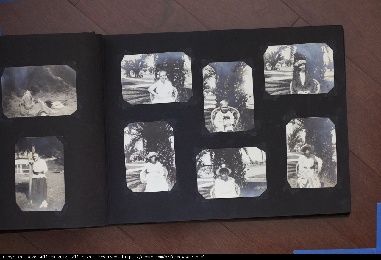 A Collage of Eight Dressed-Up Family Members
