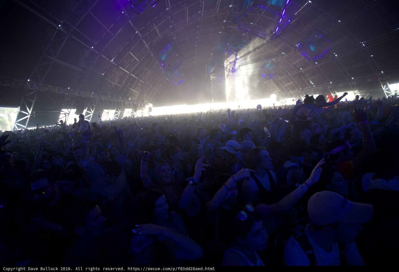 Rocking with the Crowd at Coachella