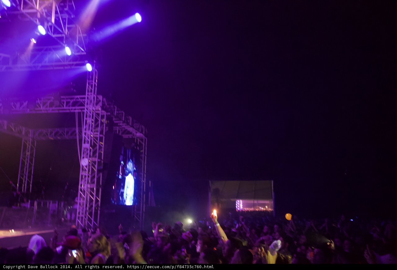 Purple Haze at Coachella Concert