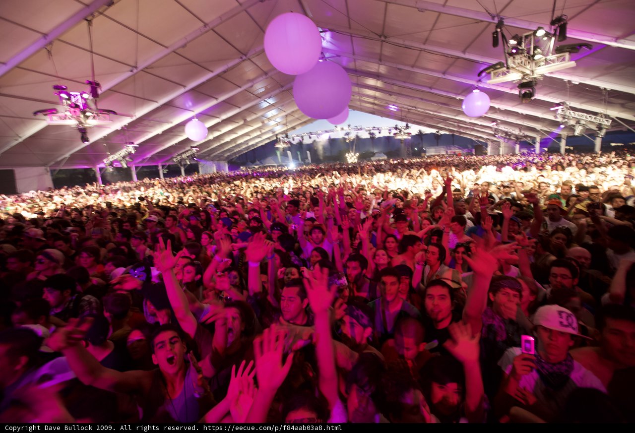 Hands Up in the Crowd