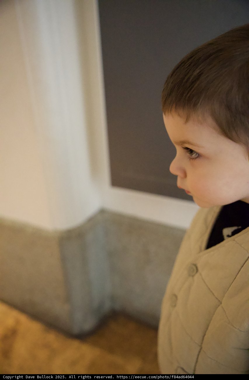Curious Contemplation