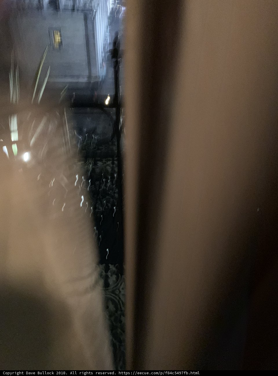 Reflection in the Window