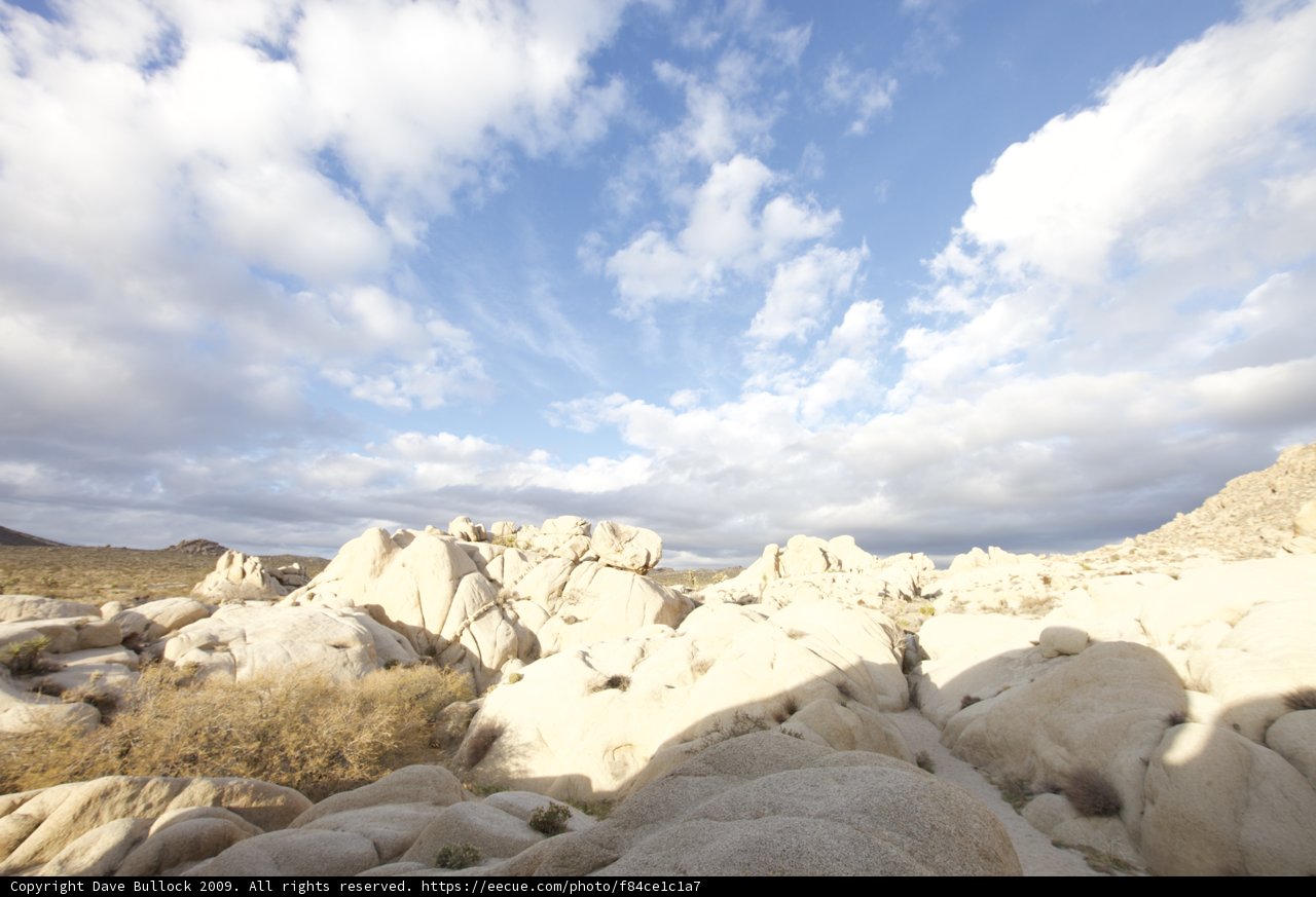 Desert Serenity