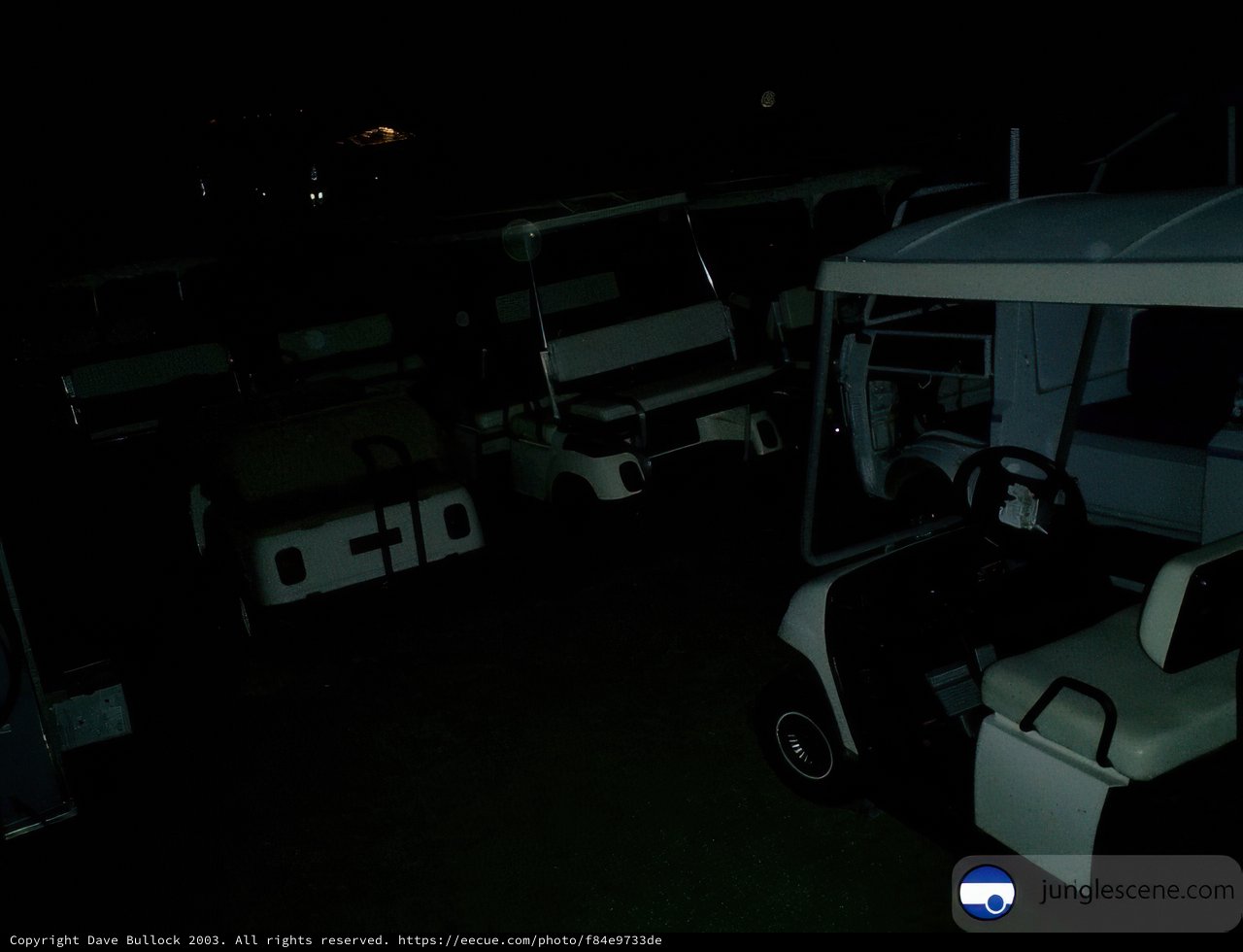 Golf Carts at Midnight