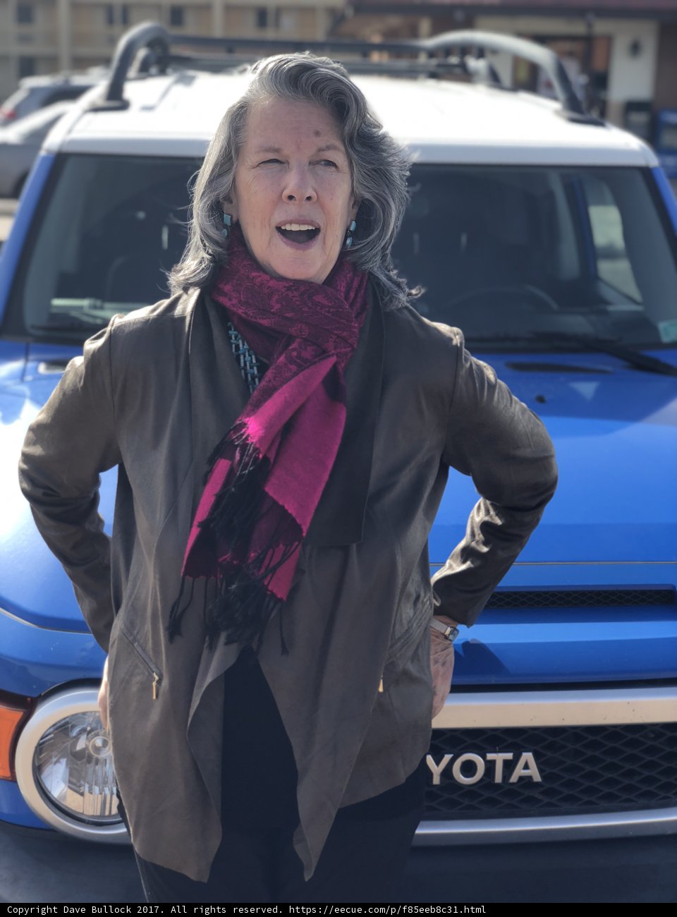 The Blue Toyota Adventure