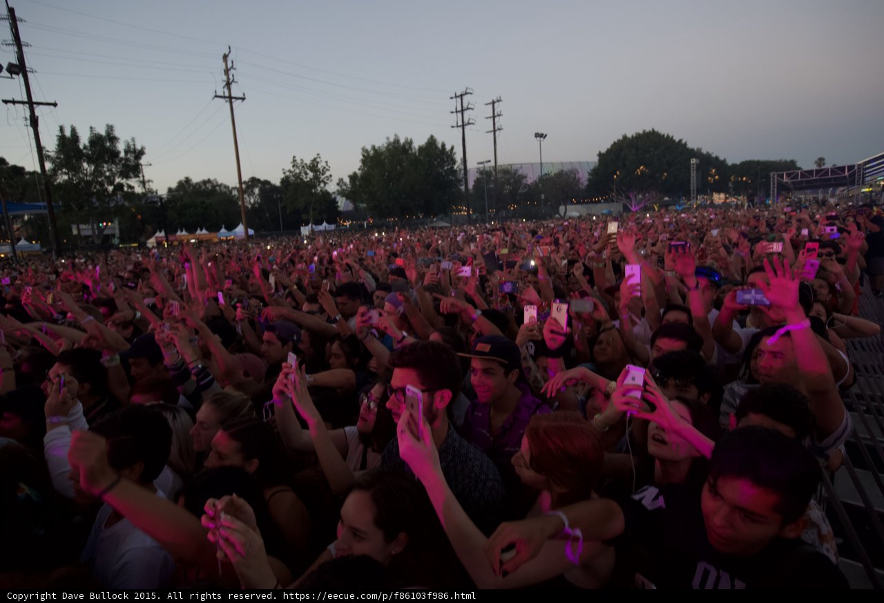 Magenta Crowd Close-up