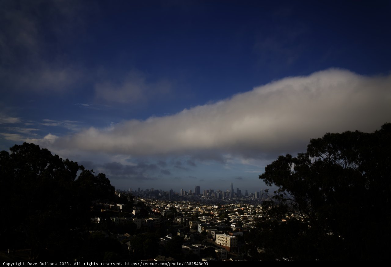 Skyline Summit: San Francisco Adventure