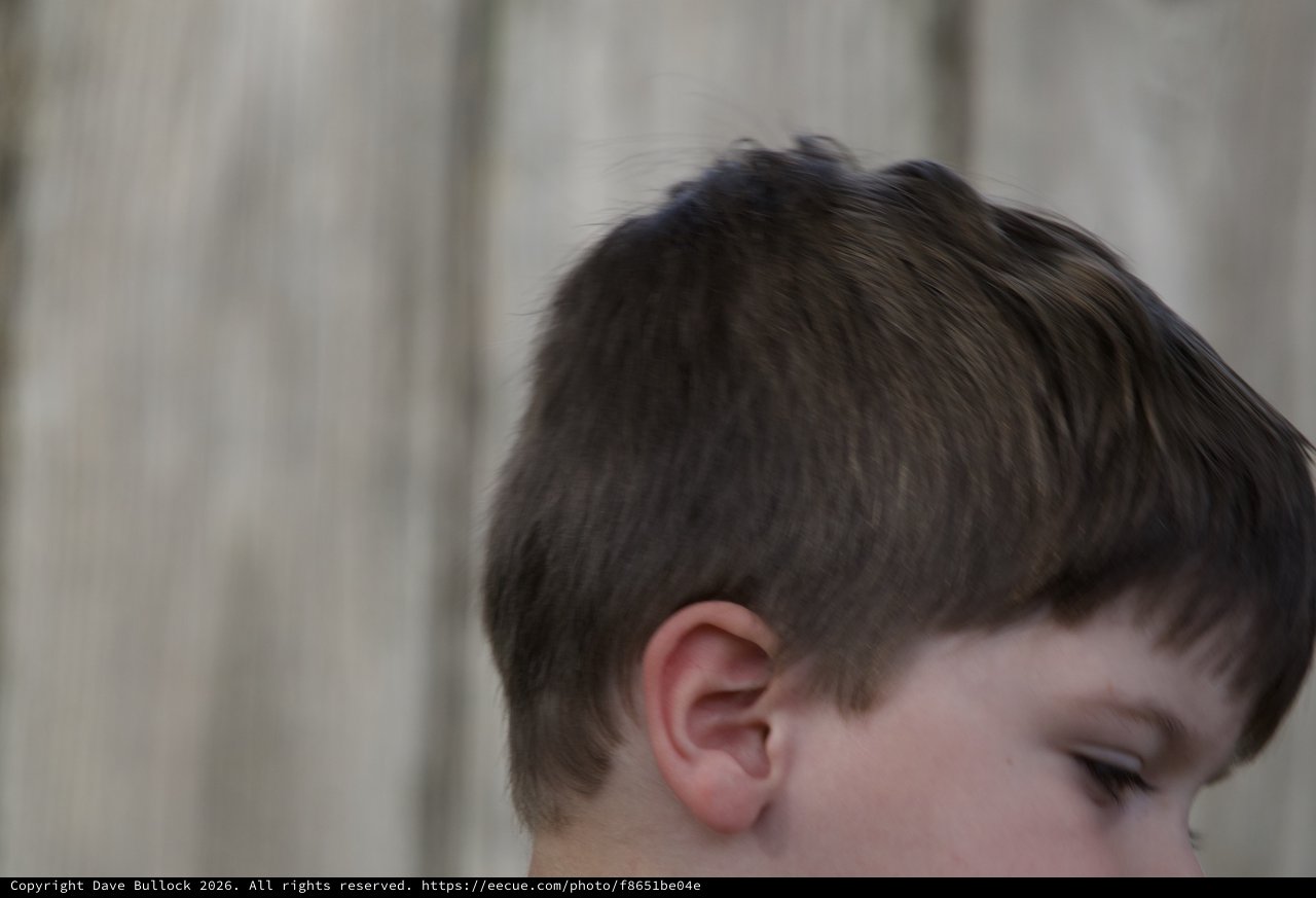 Profile Portrait of Young Boy with Brown Hair