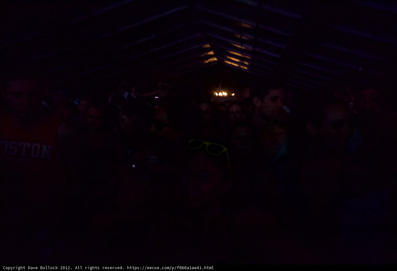 Electric Nightlife