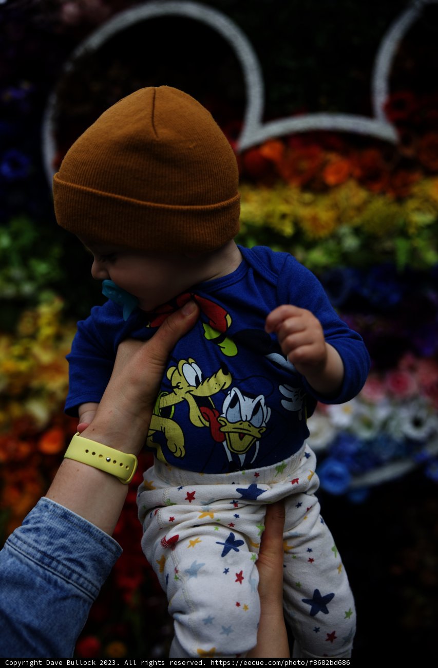 Baby's First Disneyland Adventure