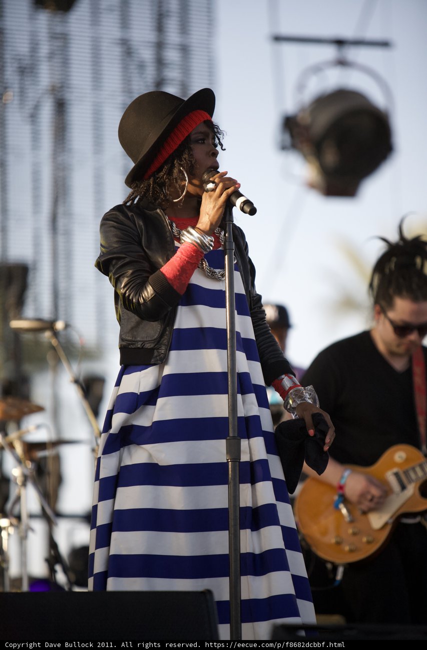 Striped Songstress