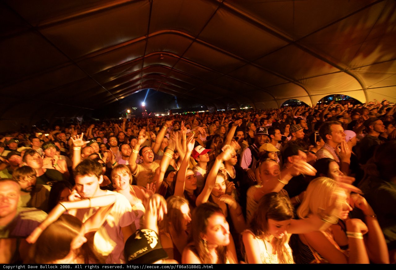 Celebrating the Nightlife: A music festival that brings people together