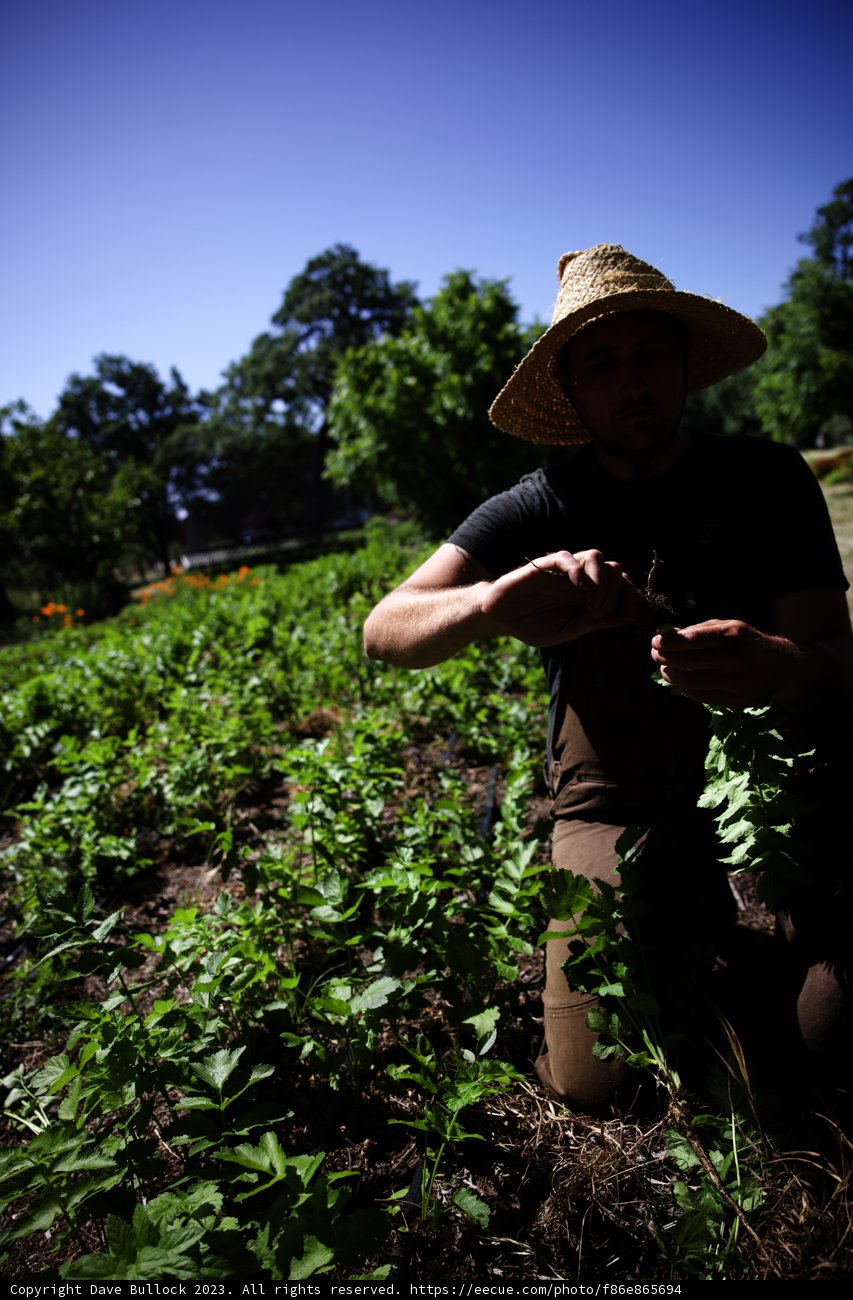 Embracing Nature: A Gardener's Journey
