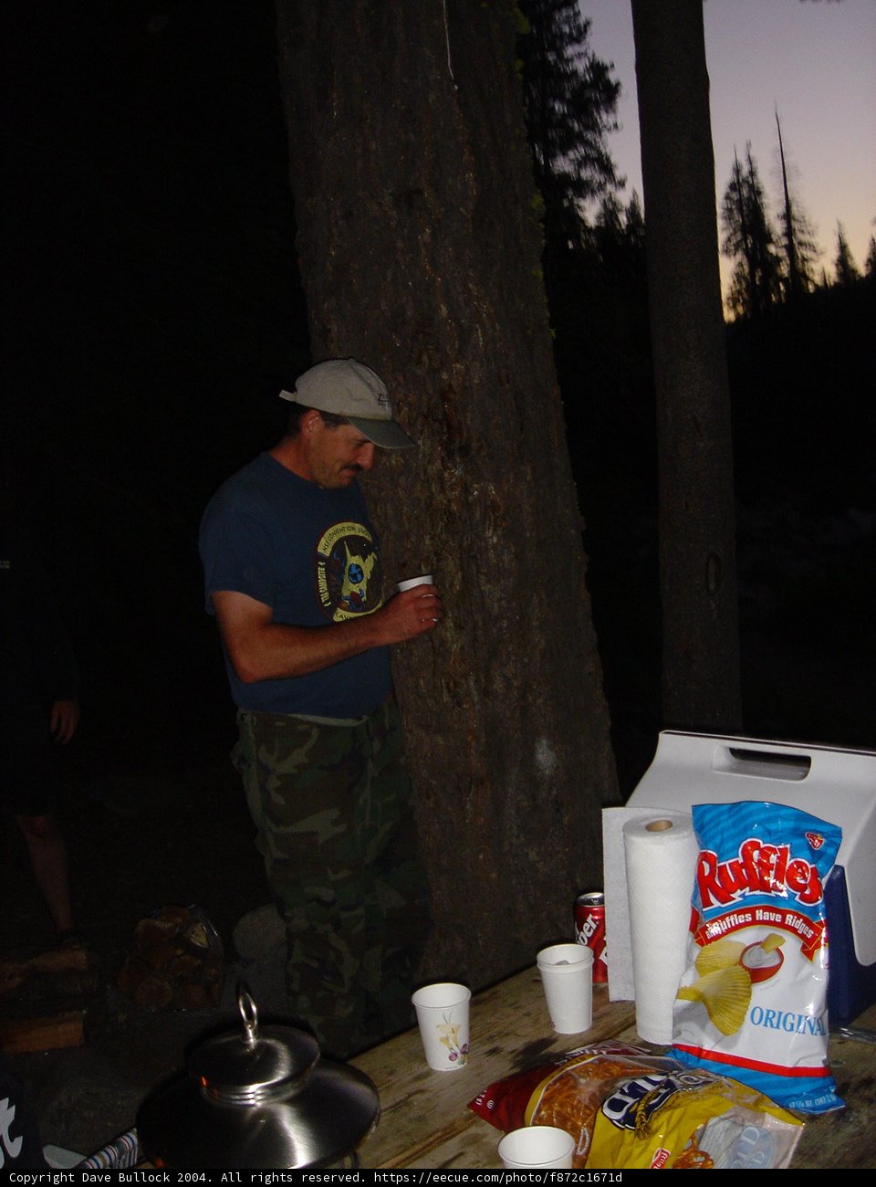 Man and Tree in the Outdoors