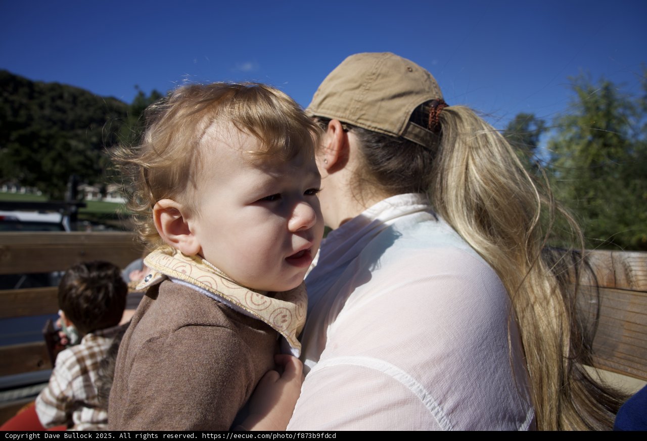 Warm Embrace in Carmel
