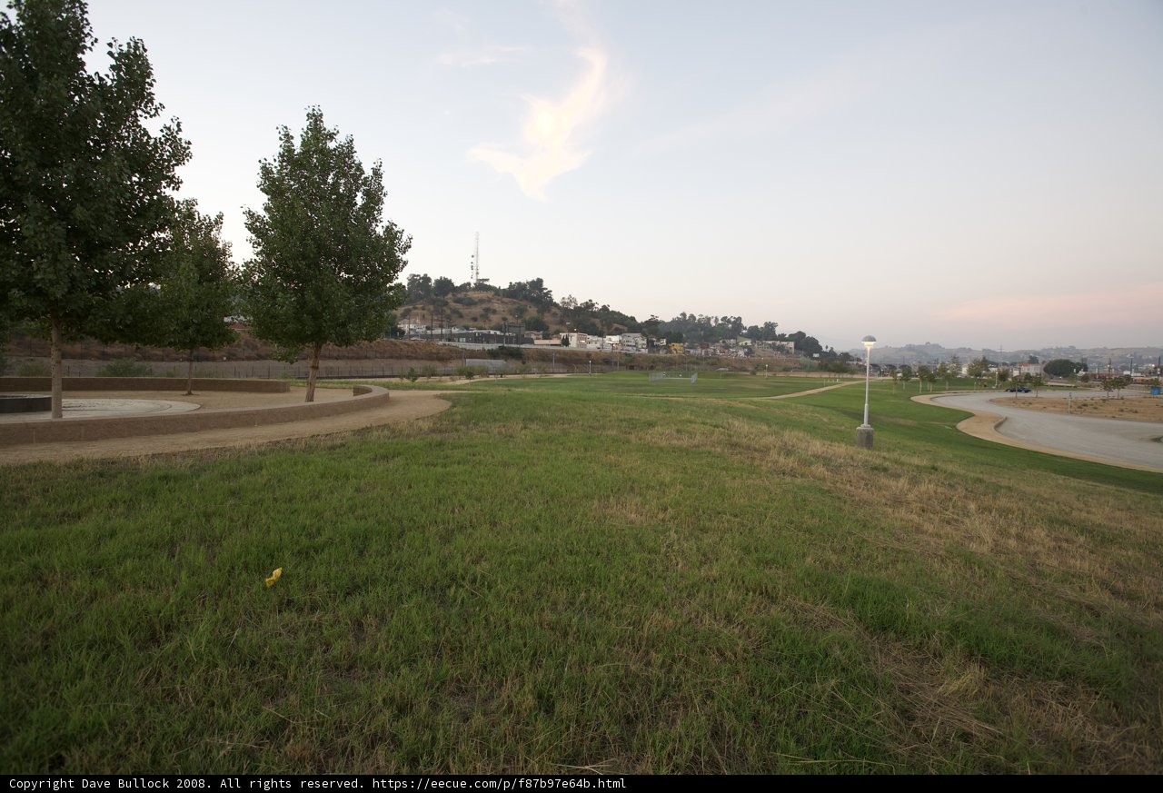 Solitude in the Grassy Field