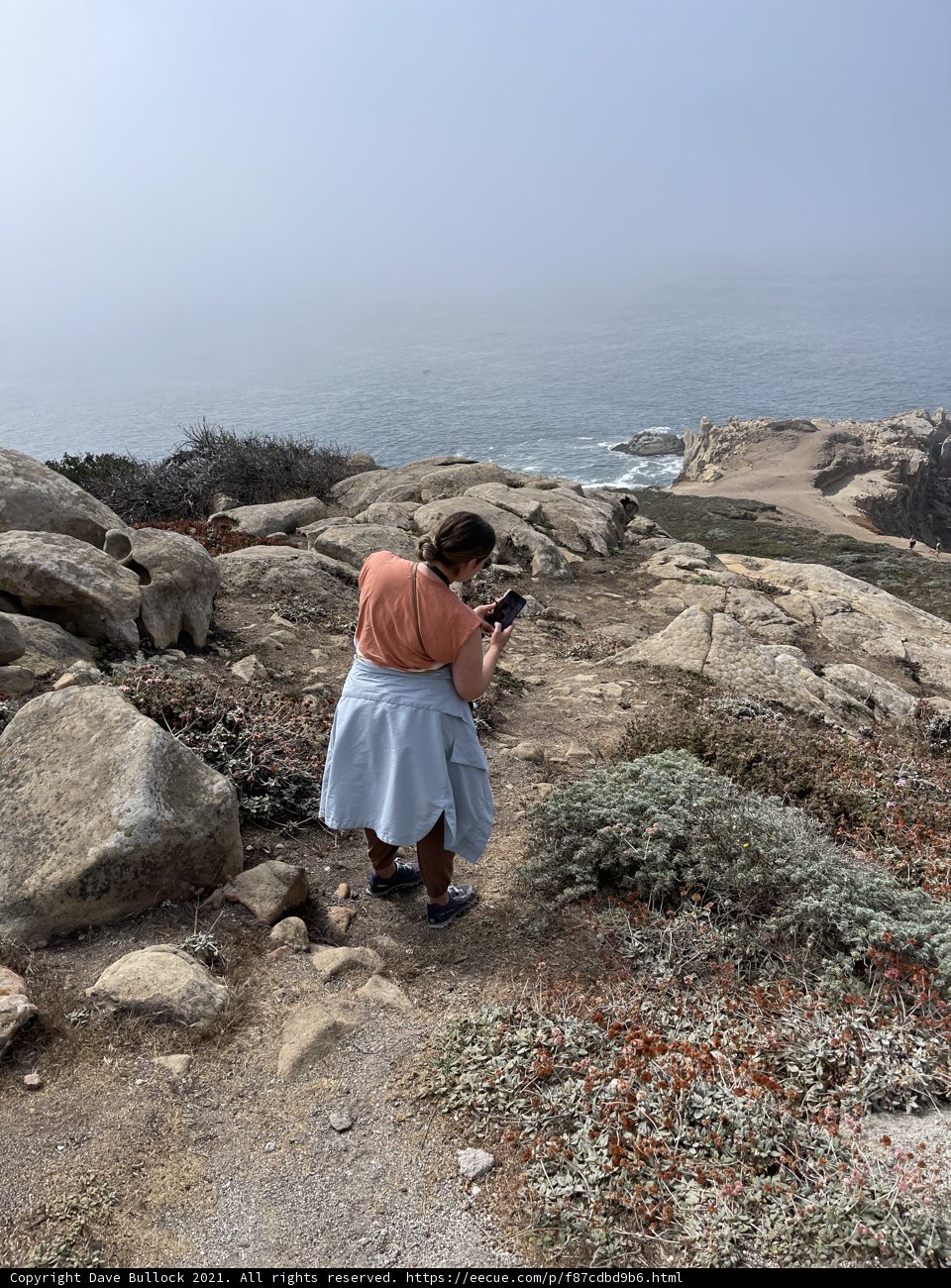 Capturing the Serenity of the Foggy Ocean