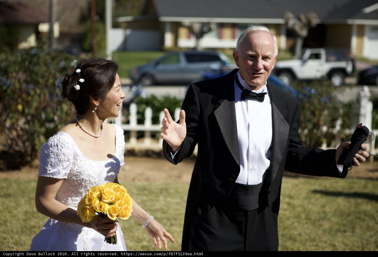 Elegant Wedding Attire