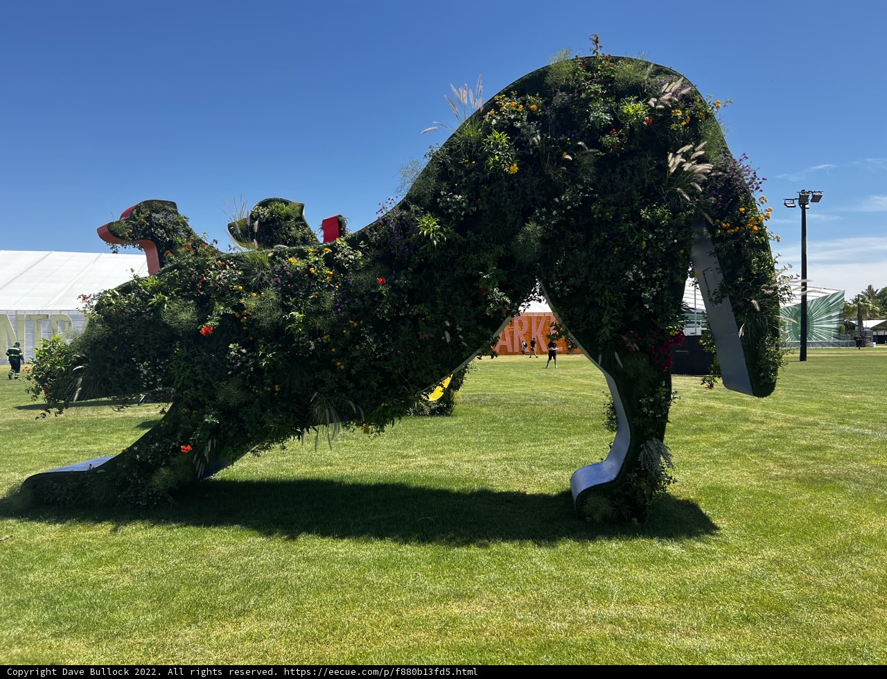 The Kingdom of Plant Lions