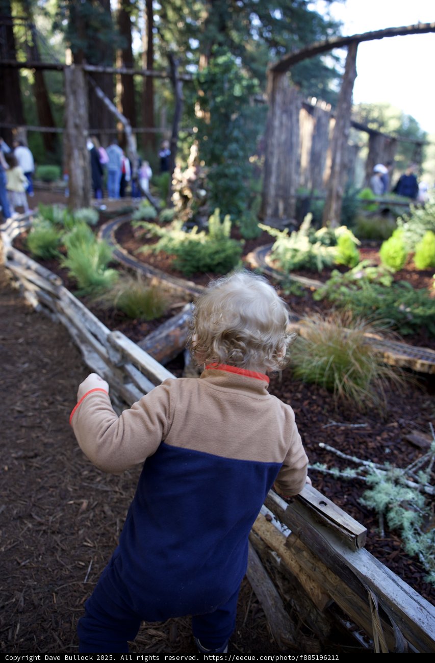 Young Explorer Discovers Thistlewyck at Filoli Gardens