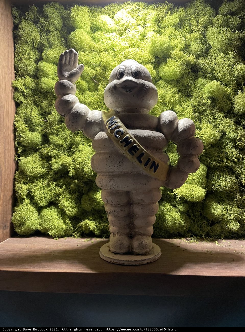 Michelin Man Studies Mossy Surroundings