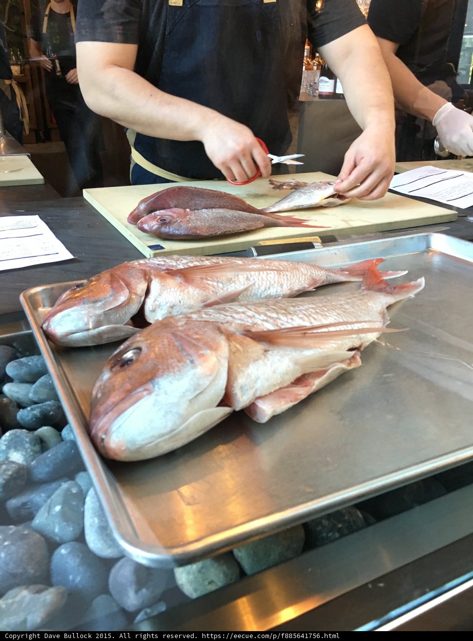 Restaurant Plating Art