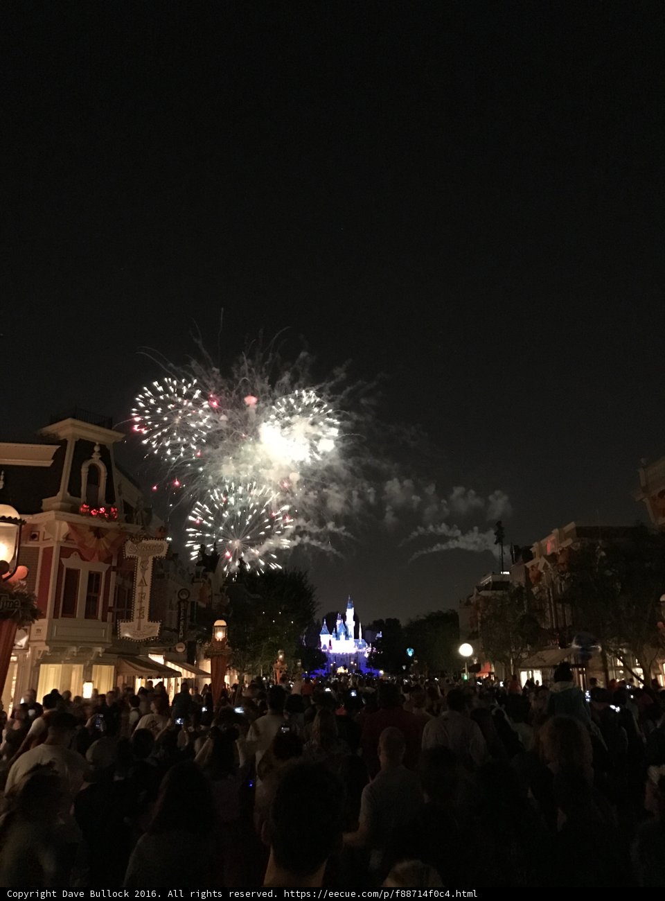 Spectacular Fireworks at Disneyland