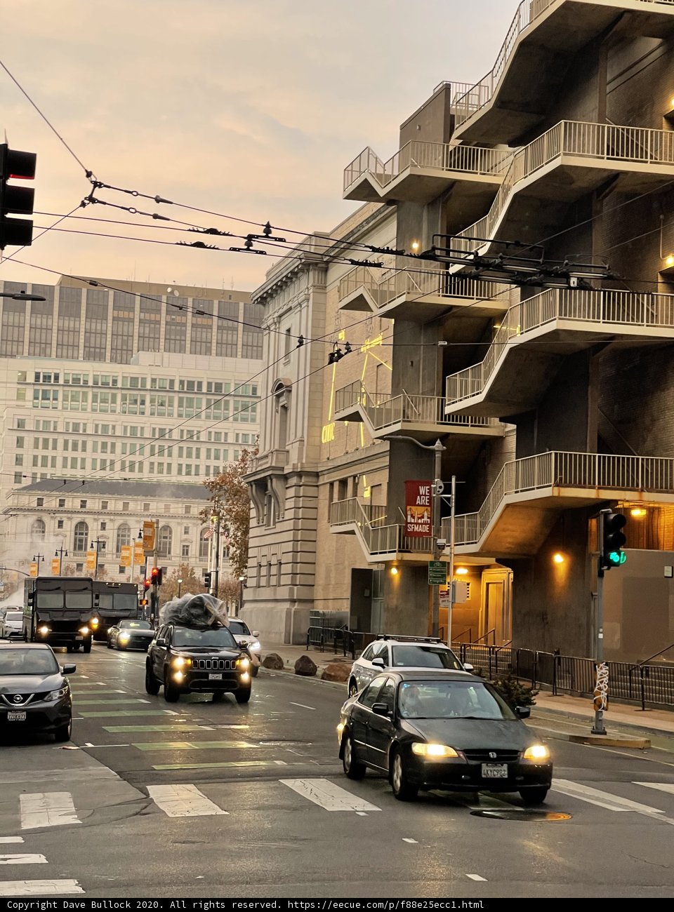 Urban Jungle