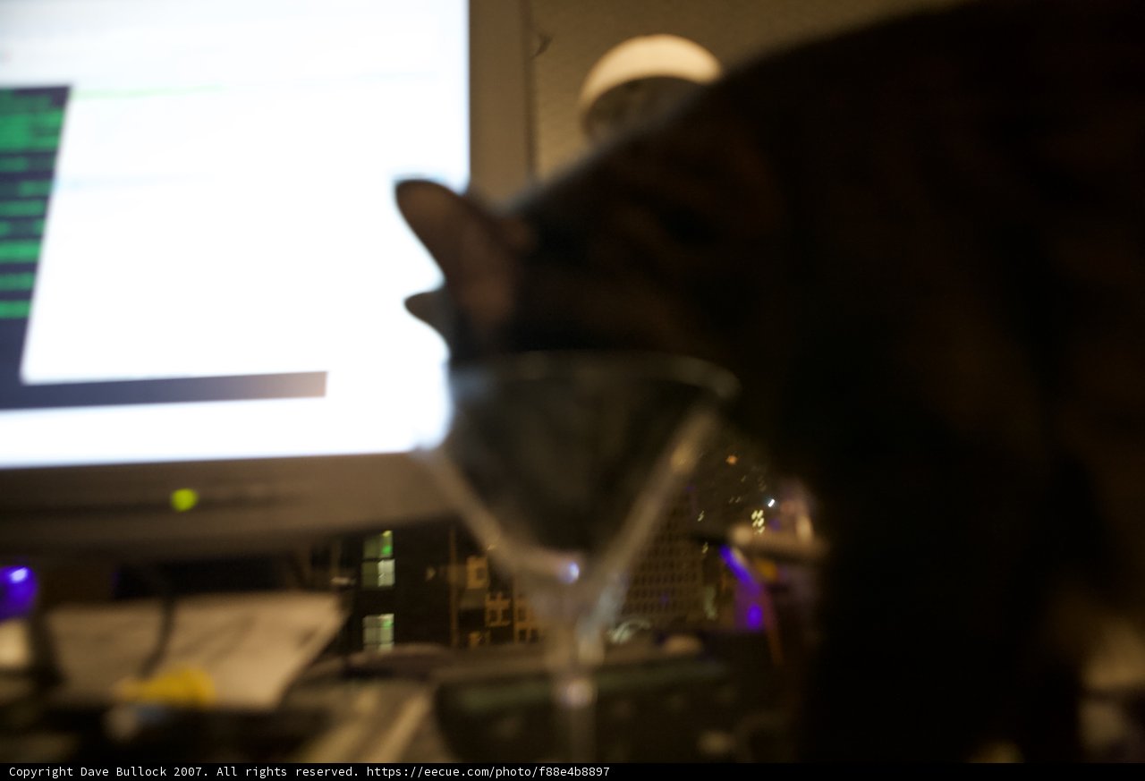 Curious Cat and Wine Glass