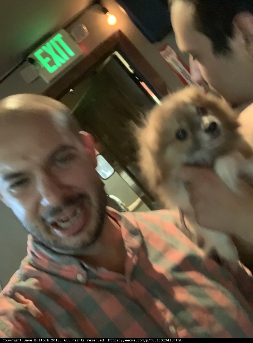 Man and his Canine Companion