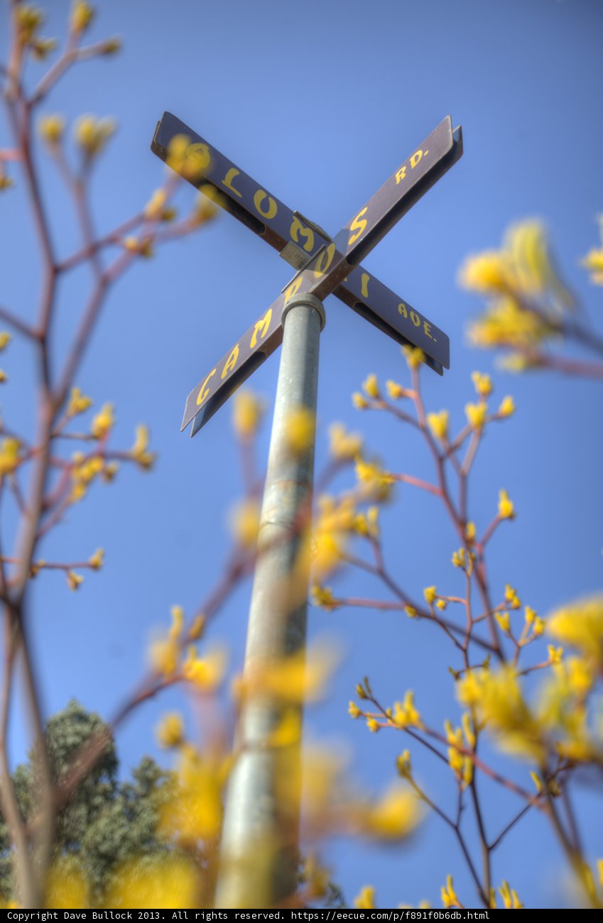 Blooming Sign
